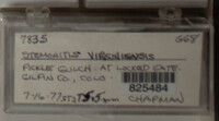 Image Associated With the Occurence